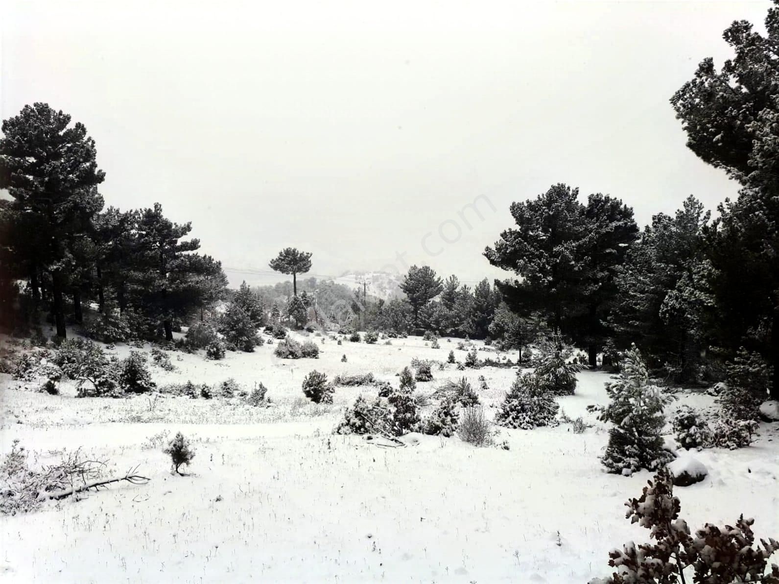 Kar Emlaktan Gökbez Yaylasında 10 Dönüm Satılık Tarla - Görsel 26