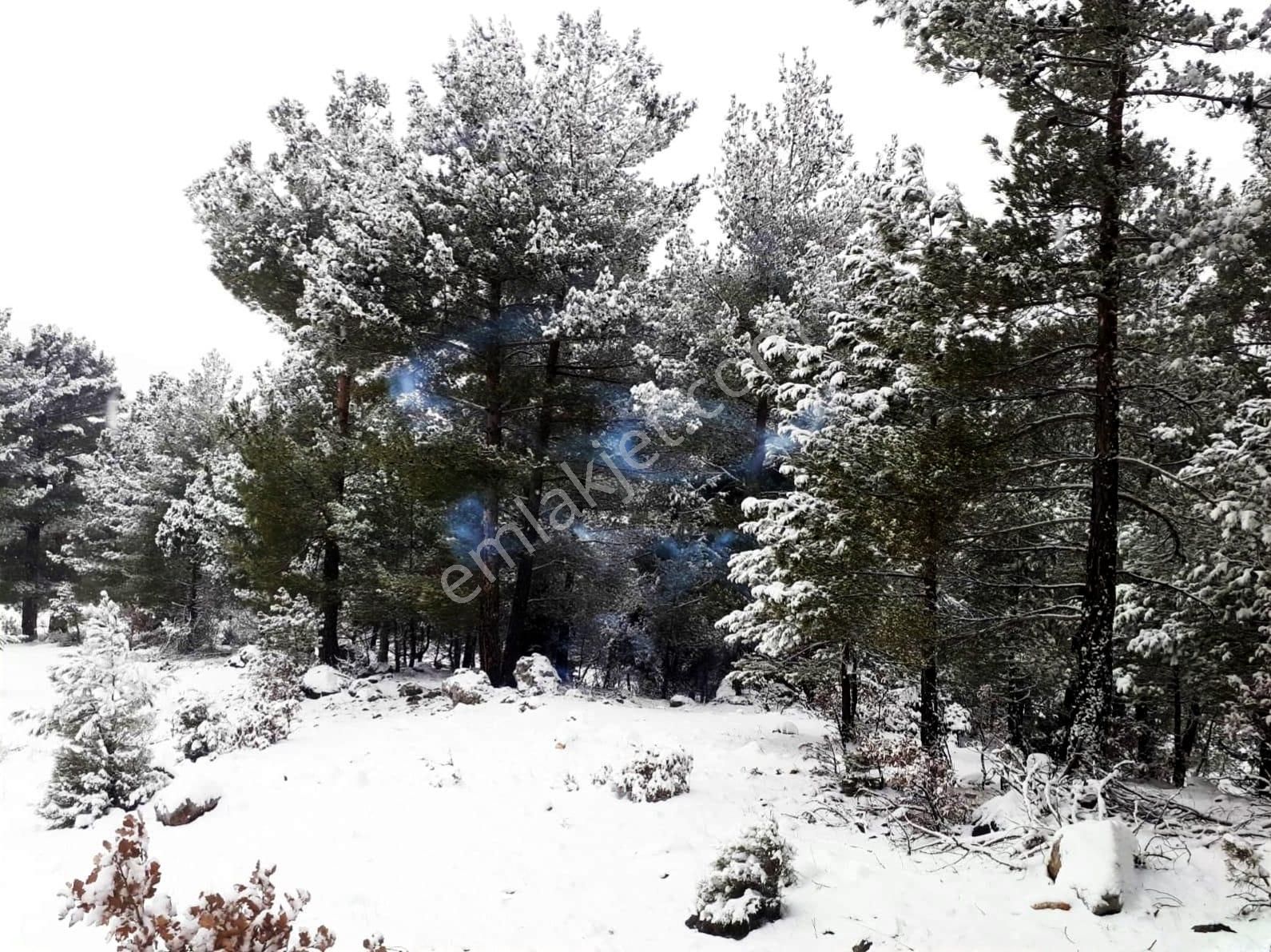 Kar Emlaktan Gökbez Yaylasında 10 Dönüm Satılık Tarla - Görsel 27