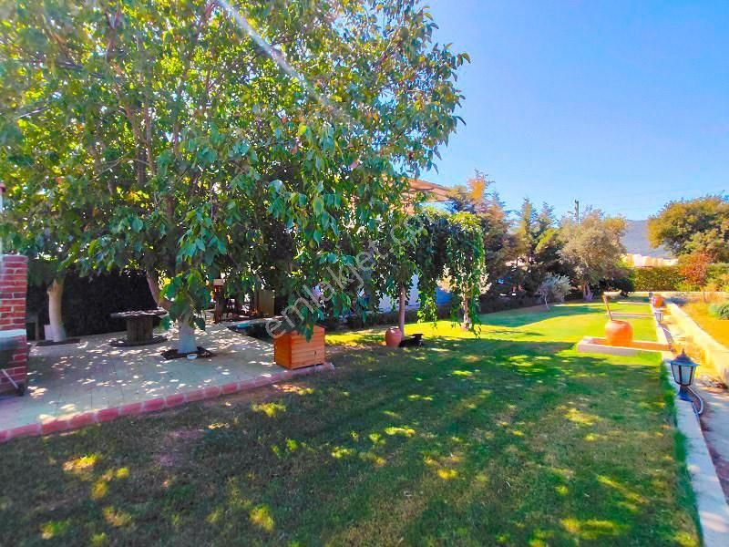 10 Dönüm Bakımlı Dolu Şahane Çiftlik - Görsel 14