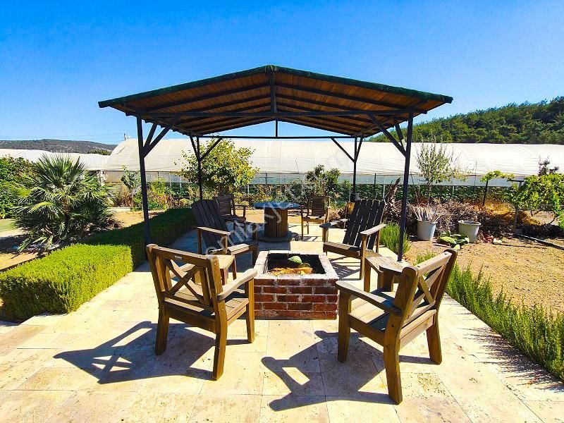 10 Dönüm Bakımlı Dolu Şahane Çiftlik - Görsel 2