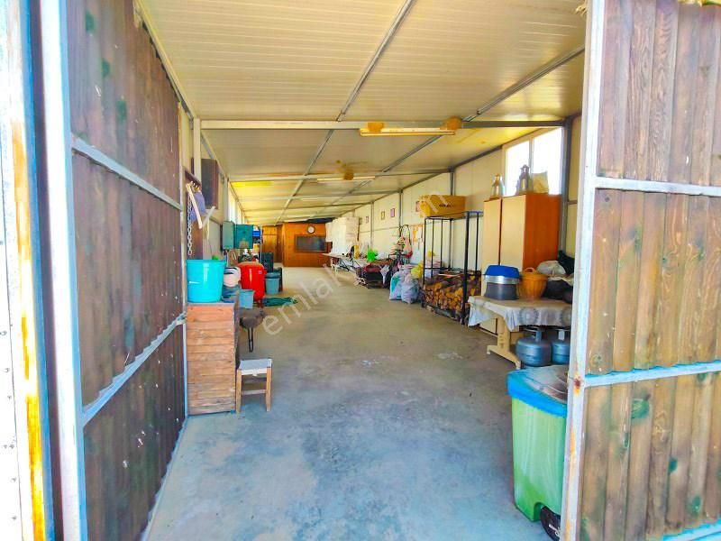 10 Dönüm Bakımlı Dolu Şahane Çiftlik - Görsel 6