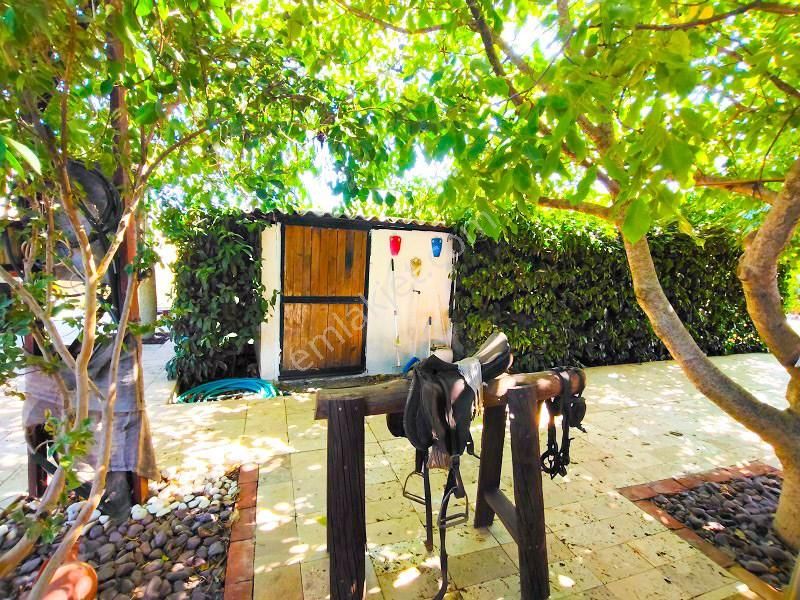 10 Dönüm Bakımlı Dolu Şahane Çiftlik - Görsel 4