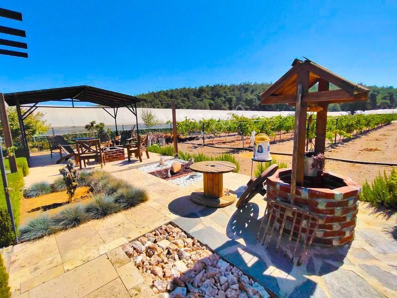 10 Dönüm Bakımlı Dolu Şahane Çiftlik - Görsel 9