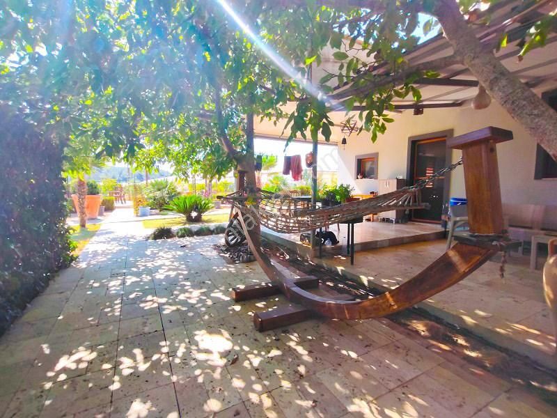 10 Dönüm Bakımlı Dolu Şahane Çiftlik - Görsel 3