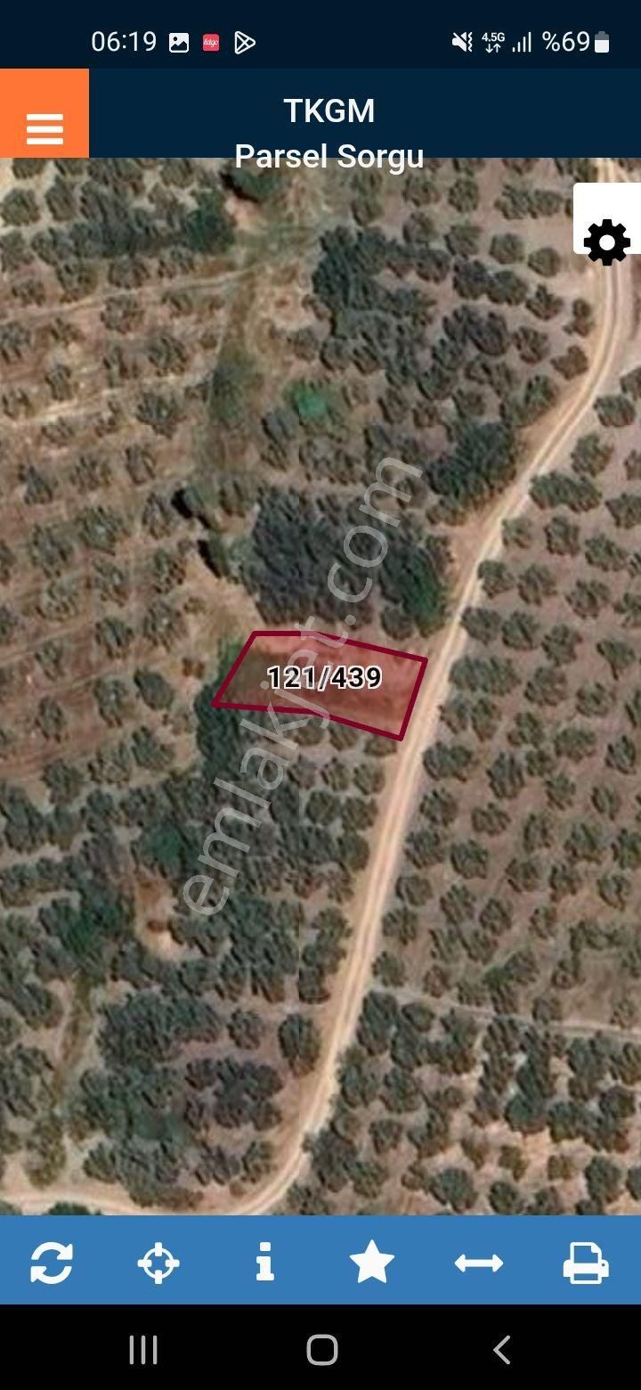 Gemlik Yeniköyde Tarla