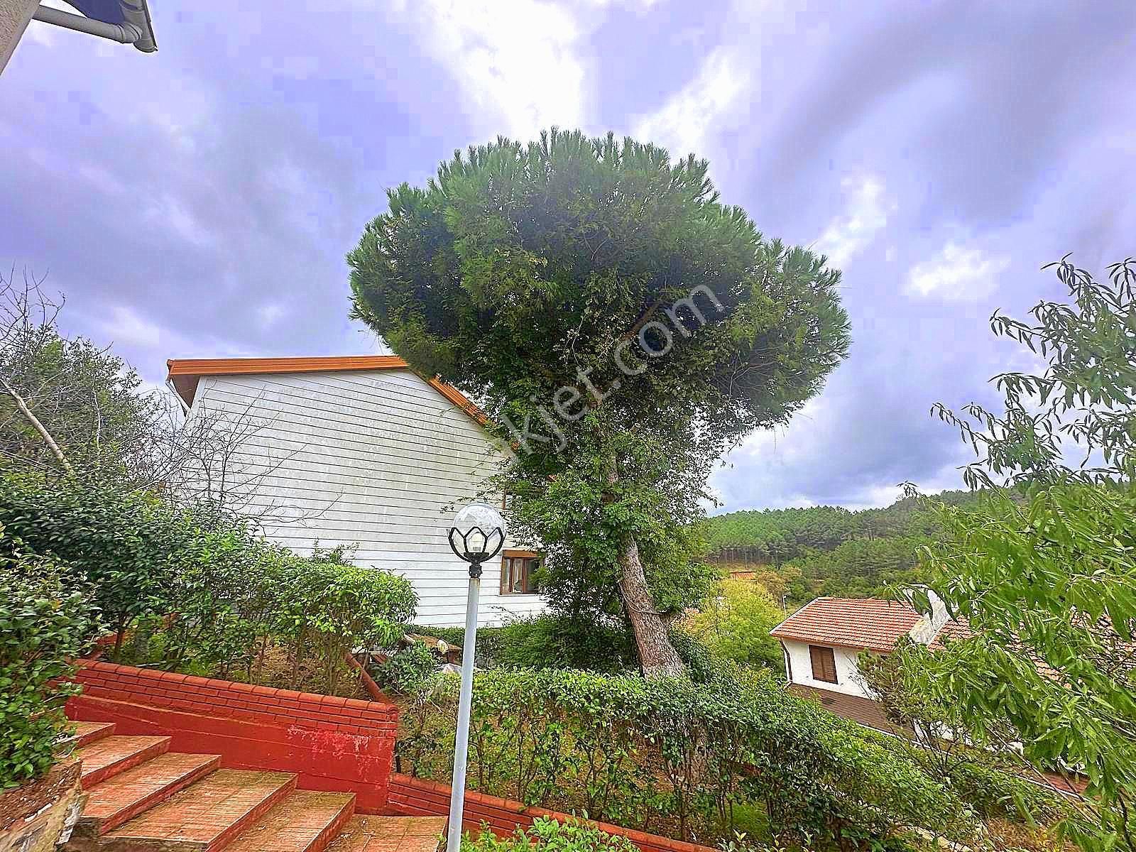 ▃birikim▃tek Yetkili▃şile'de Site İçerisinde Deniz Manzaralı 4+1 - Görsel 25