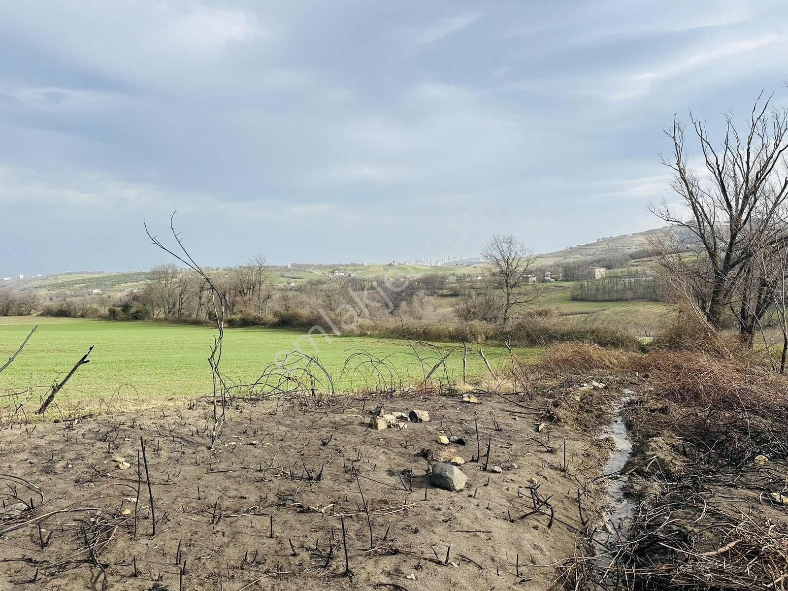 Batı Çevre Yolu Altında Deniz Manzaralı İmar Kapsamında Tarla - Görsel 4