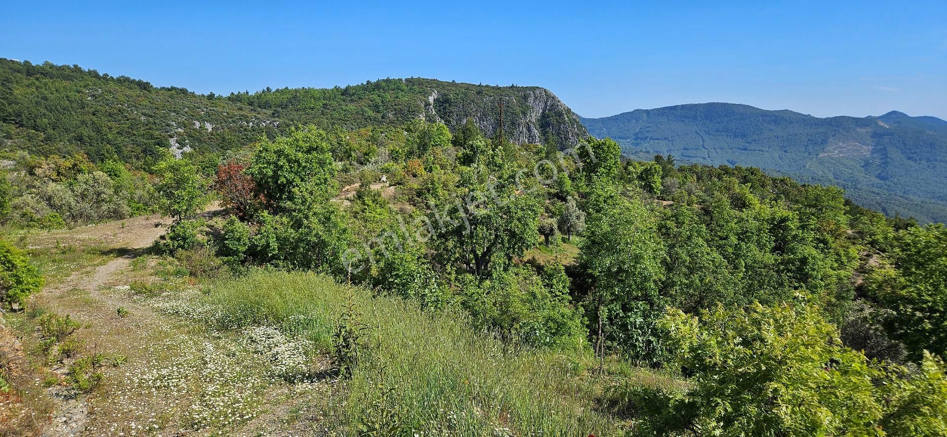 Alanya Mahmutseydi Köyünde Deniz Manzaralı 4.590 Metre Satılık Tarla - Görsel 5