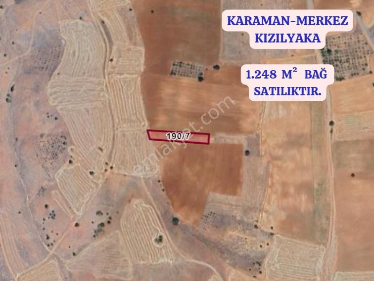 Karaman Merkez Kızılyaka Köyünde 1.248 M² Bağ Satılıktır - Görsel 2