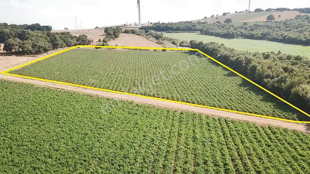 Karacabey Yarış Köy De10 Dönüm Çift Yola Cephe Telle Cevrili