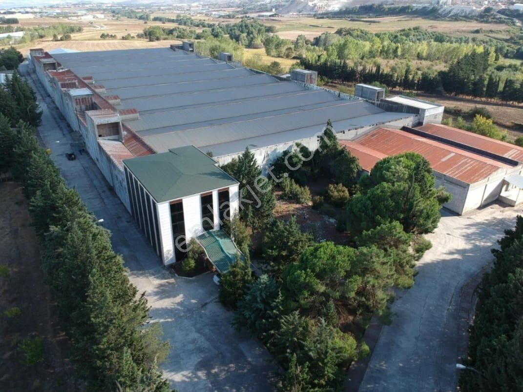 Çatalca Ferhatpaşada 243.996 M² Ticari İmarlı Satılık Arsa - Görsel 5