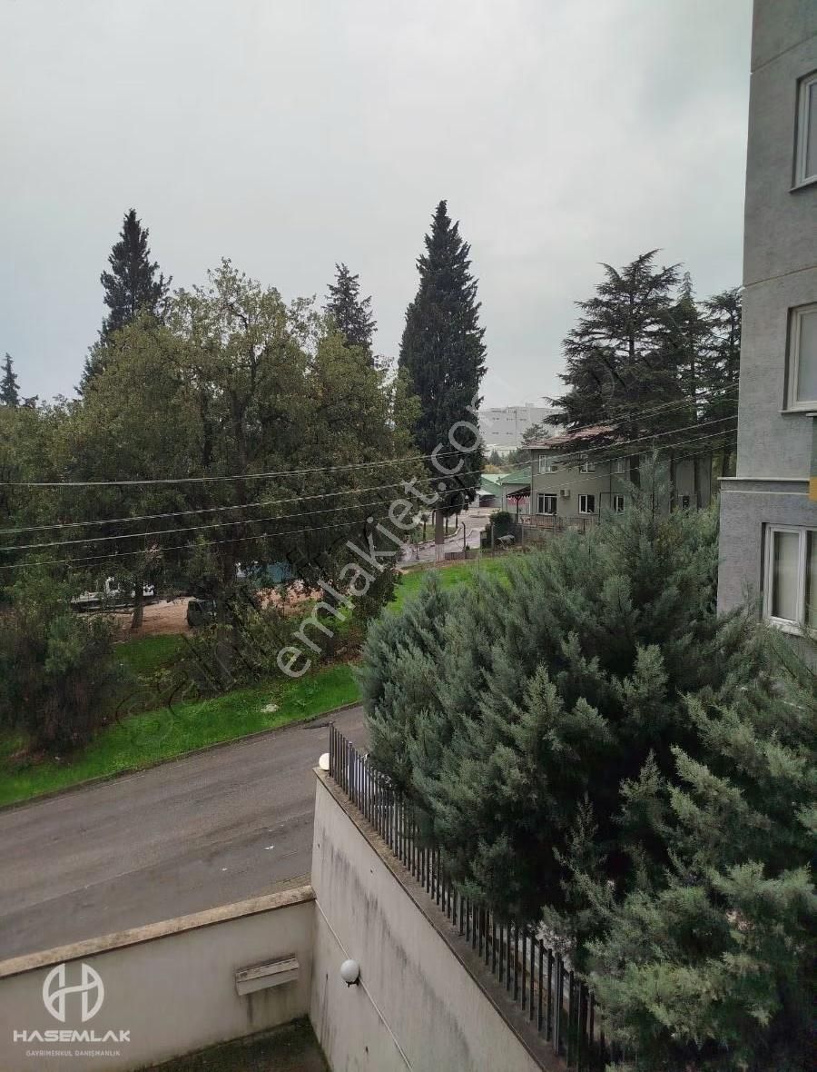 Bölge Uzmanı Has Emlak Kiralık Ara Kat Eşyalı Daire - Görsel 4