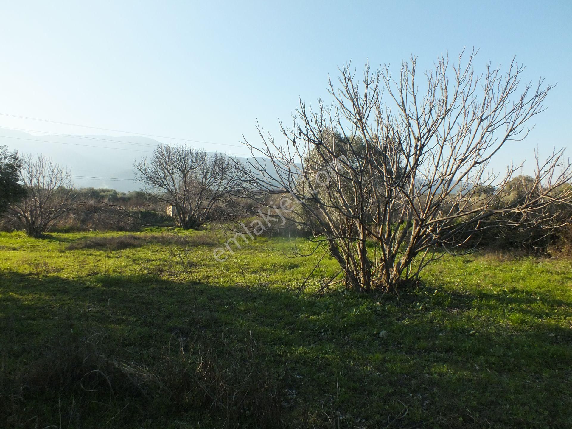 Bozdoğan Ziyaretli Mahallesinde Satılık Yol Kenari Arazi - Görsel 9