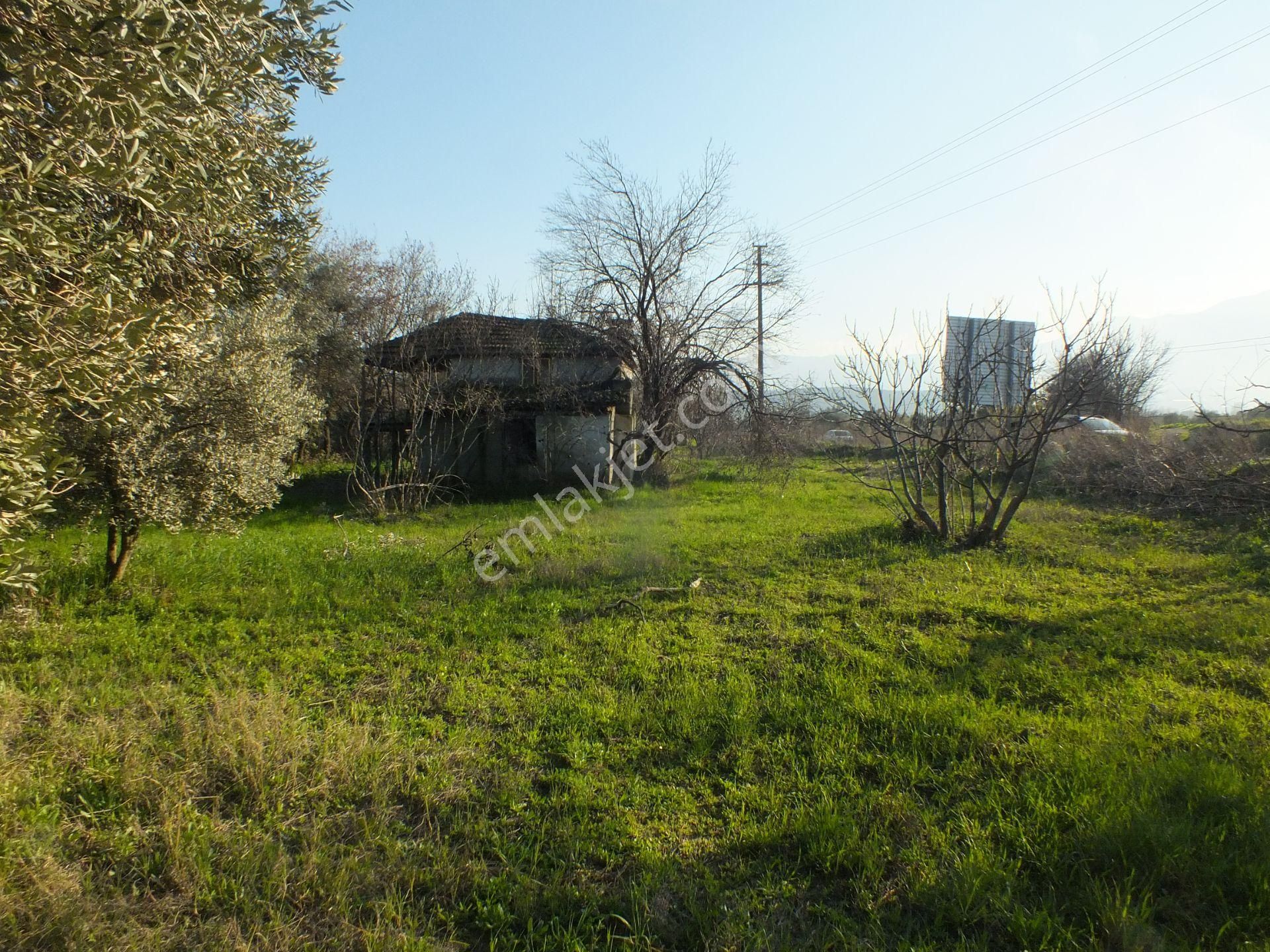 Bozdoğan Ziyaretli Mahallesinde Satılık Yol Kenari Arazi - Görsel 7