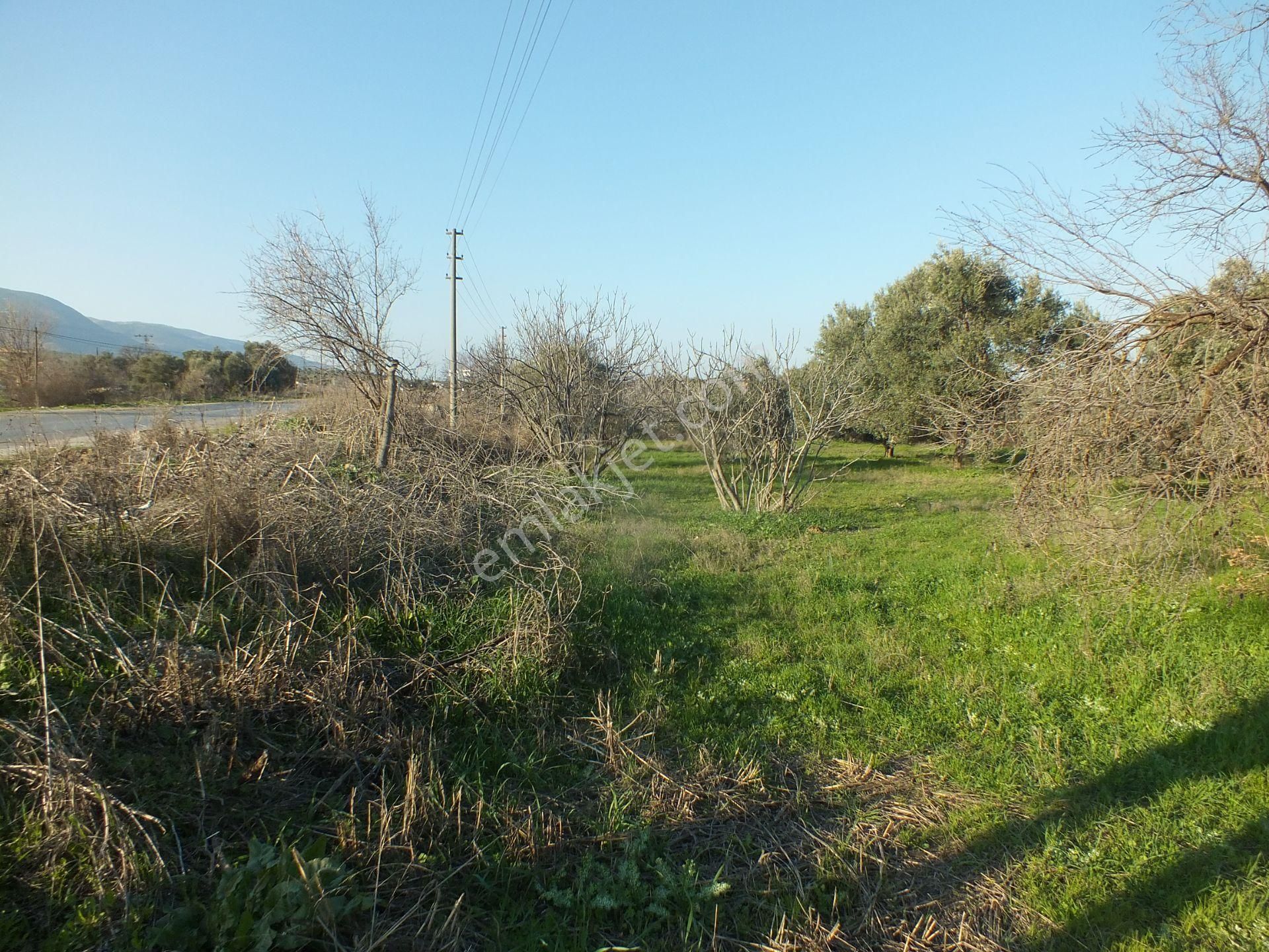 Bozdoğan Ziyaretli Mahallesinde Satılık Yol Kenari Arazi - Görsel 16