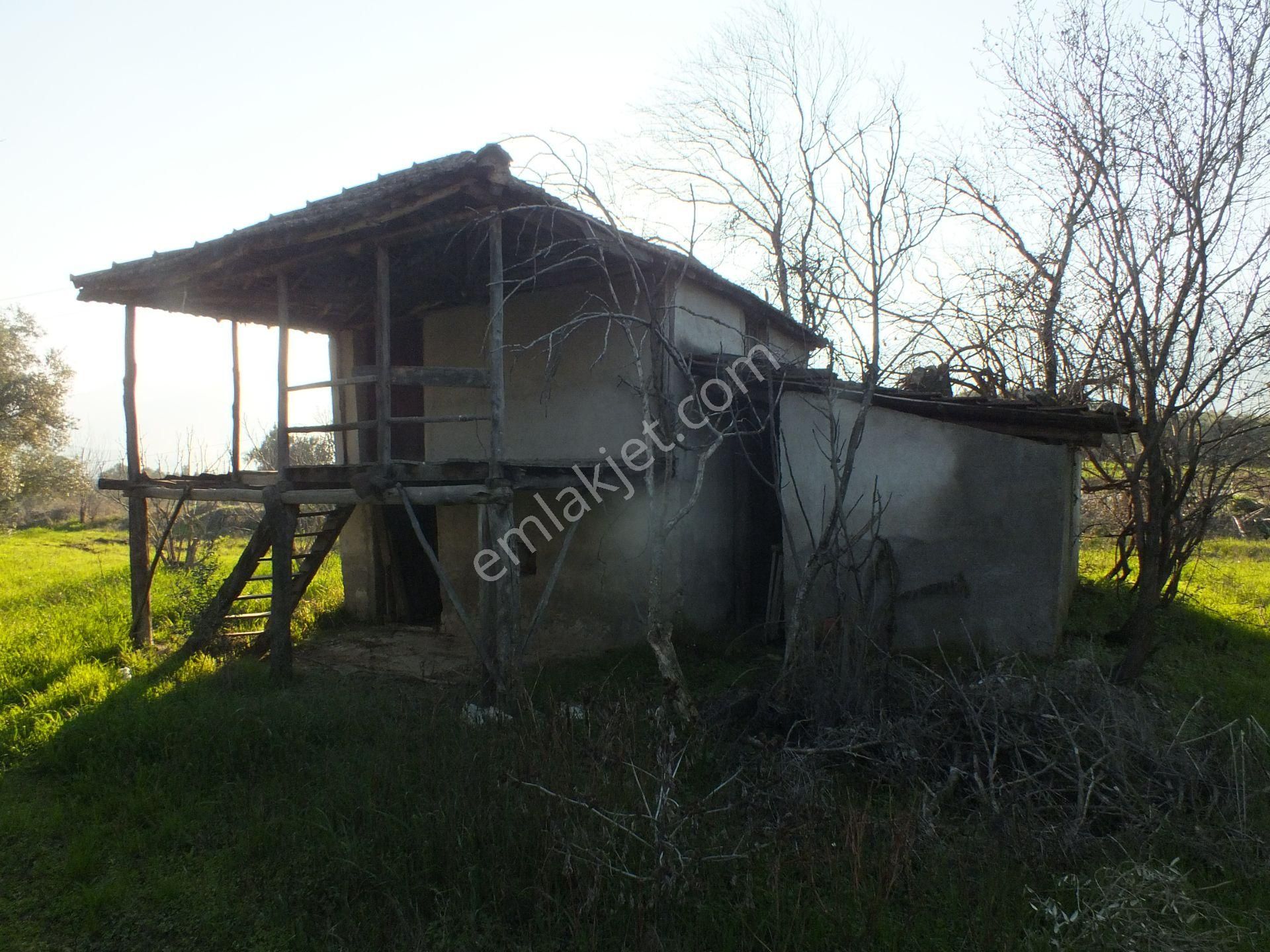 Bozdoğan Ziyaretli Mahallesinde Satılık Yol Kenari Arazi - Görsel 3
