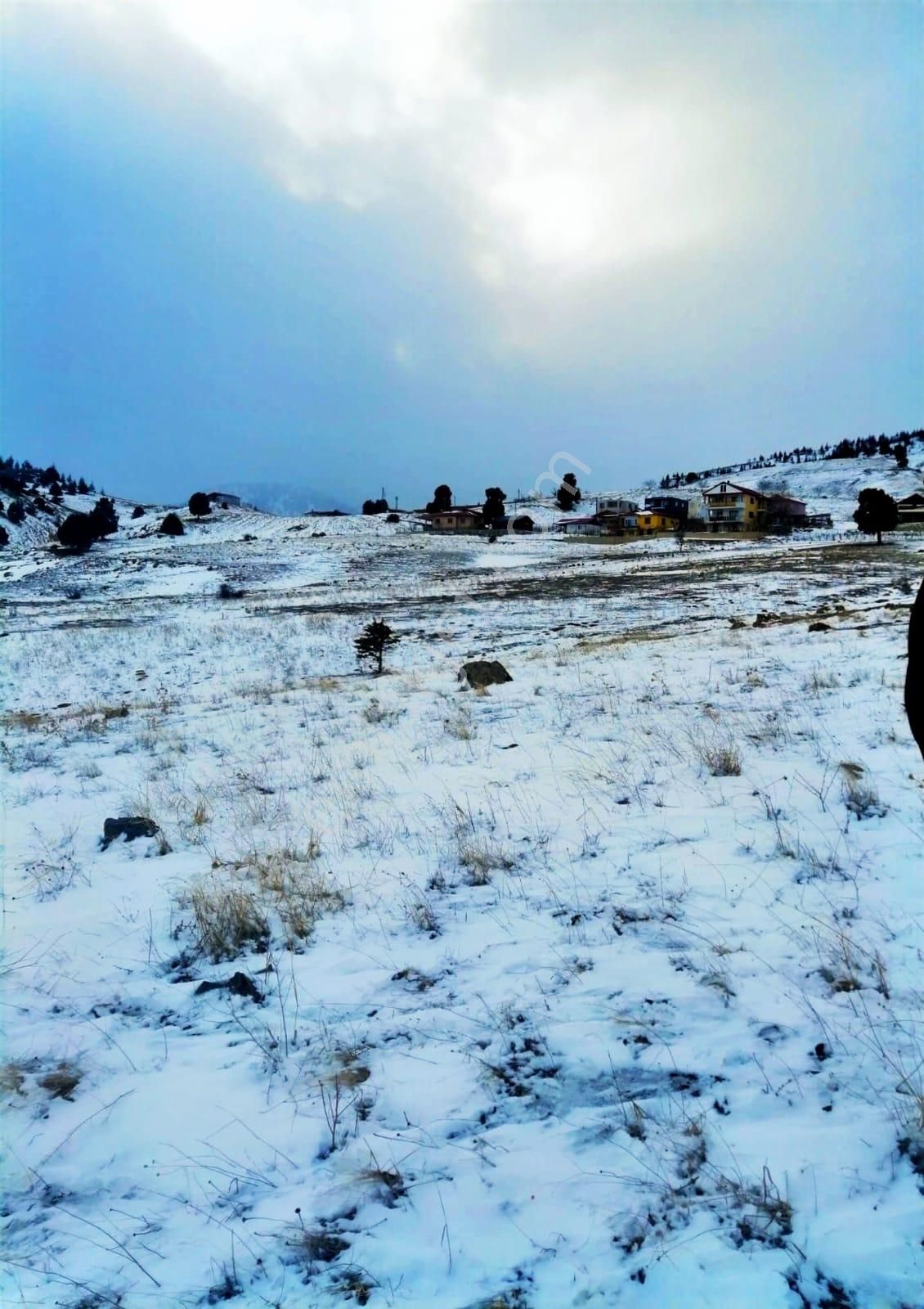 Kar Emlaktan Yazıcak Köyünde 500 M2 Satılık Arsa