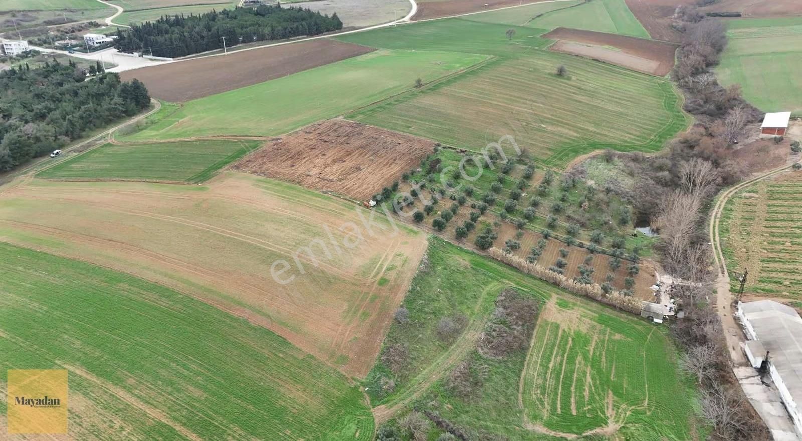 Mayadan Gyo Köy Mücavir Alanın İçerisinde Satılık Tarla - Görsel 8