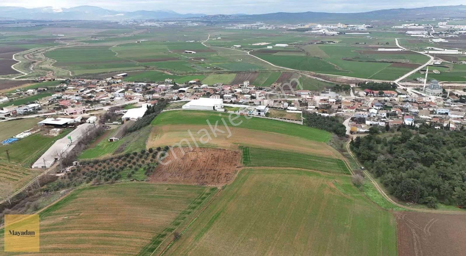 Mayadan Gyo Köy Mücavir Alanın İçerisinde Satılık Tarla