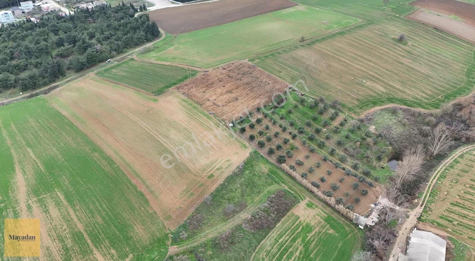 Mayadan Gyo Köy Mücavir Alanın İçerisinde Satılık Tarla - Görsel 9