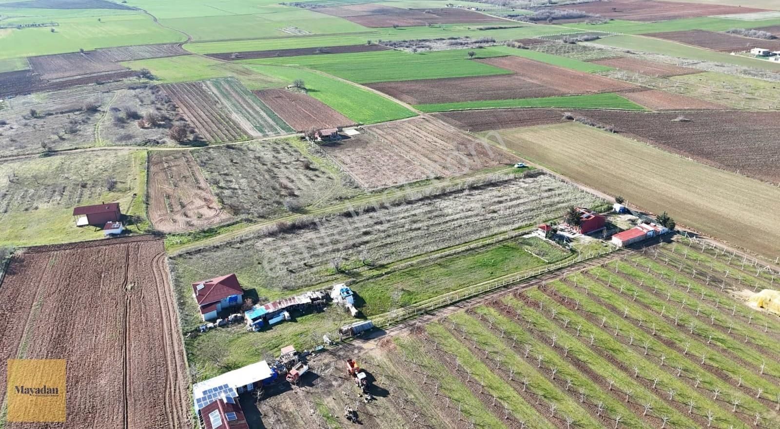 Mayadan Karahıdır'da 2.045m2 Satılık Bağ - Görsel 7