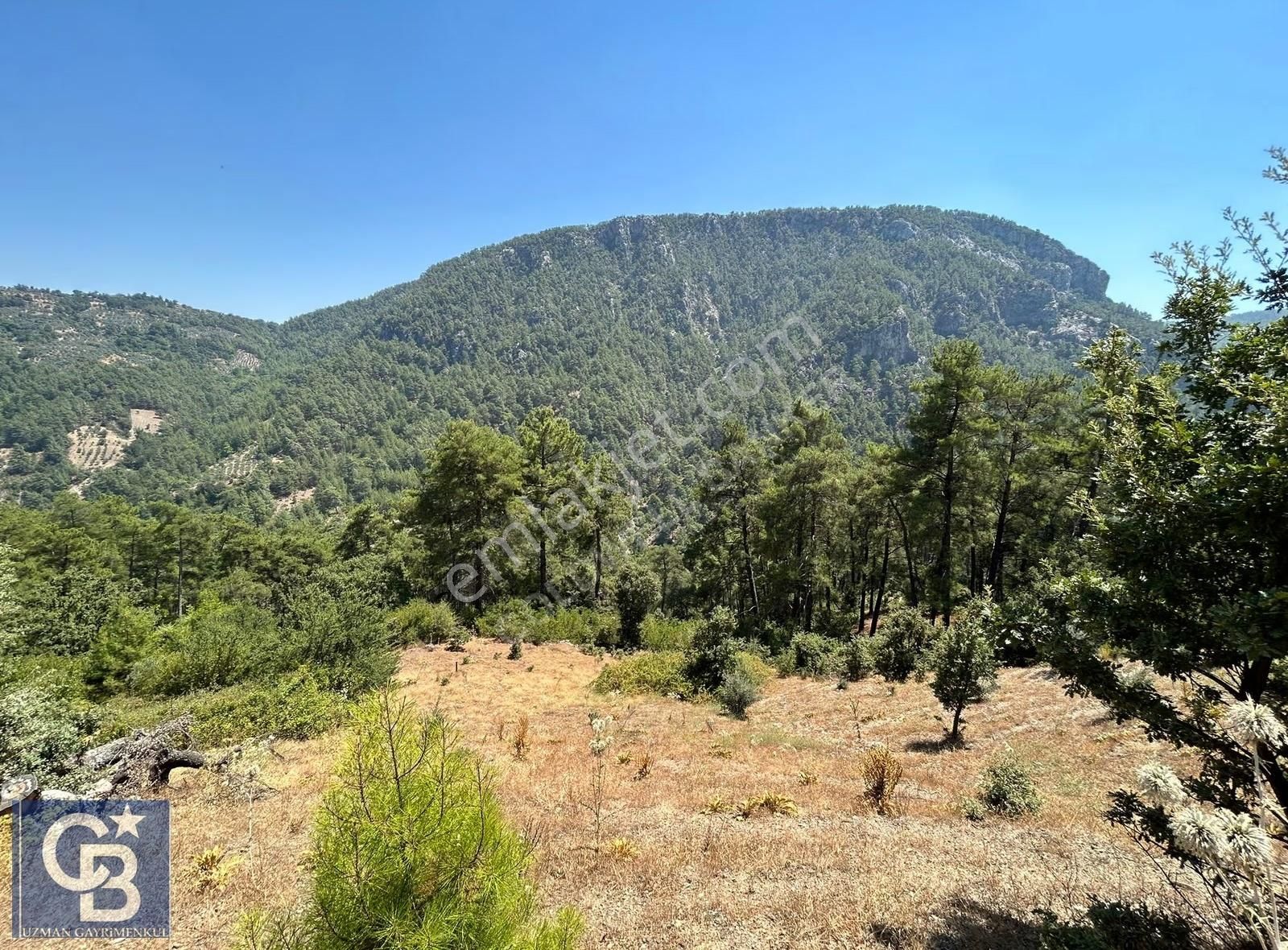Menteşe Kuyucakta Orman Yoluna Cephe 1395 M2 Satılık Arazi