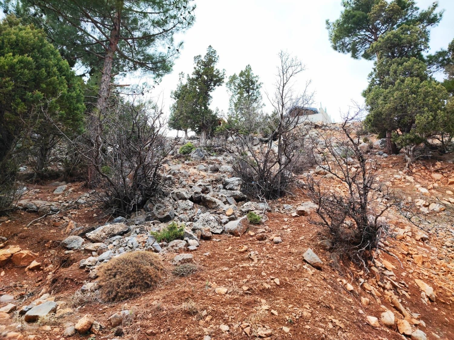 Kar Emlaktan Yenikonacık Bozkırlı Mevkiinde 450 M2 Satılık Arsa - Görsel 20