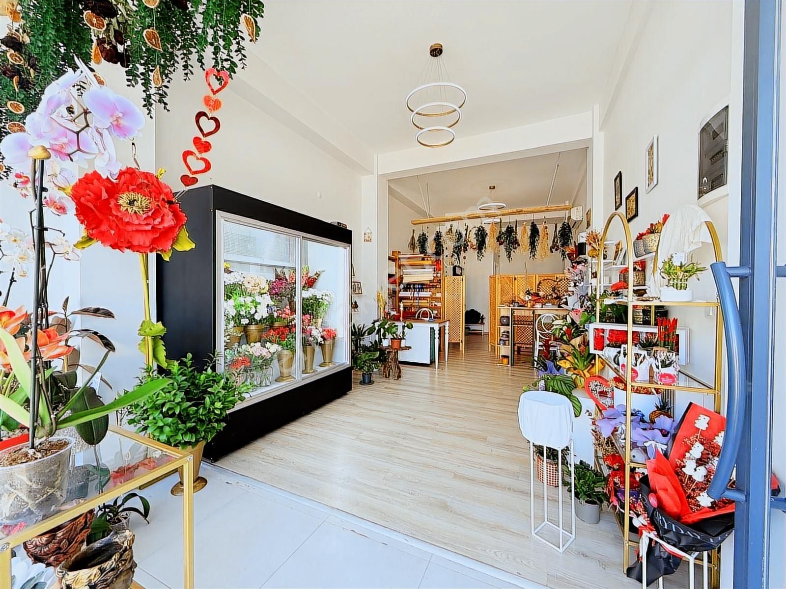 Stop'tan Akarca Yerguzlarda Satılık Dükkan - Görsel 19