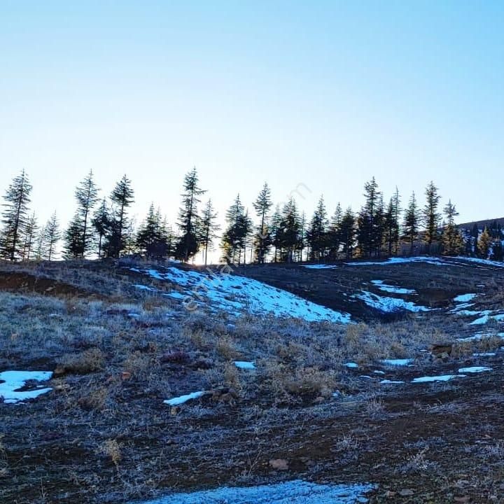 Kar Emlaktan Kamışlı Yaylasında 600 M2 Satılık Arsa - Görsel 18