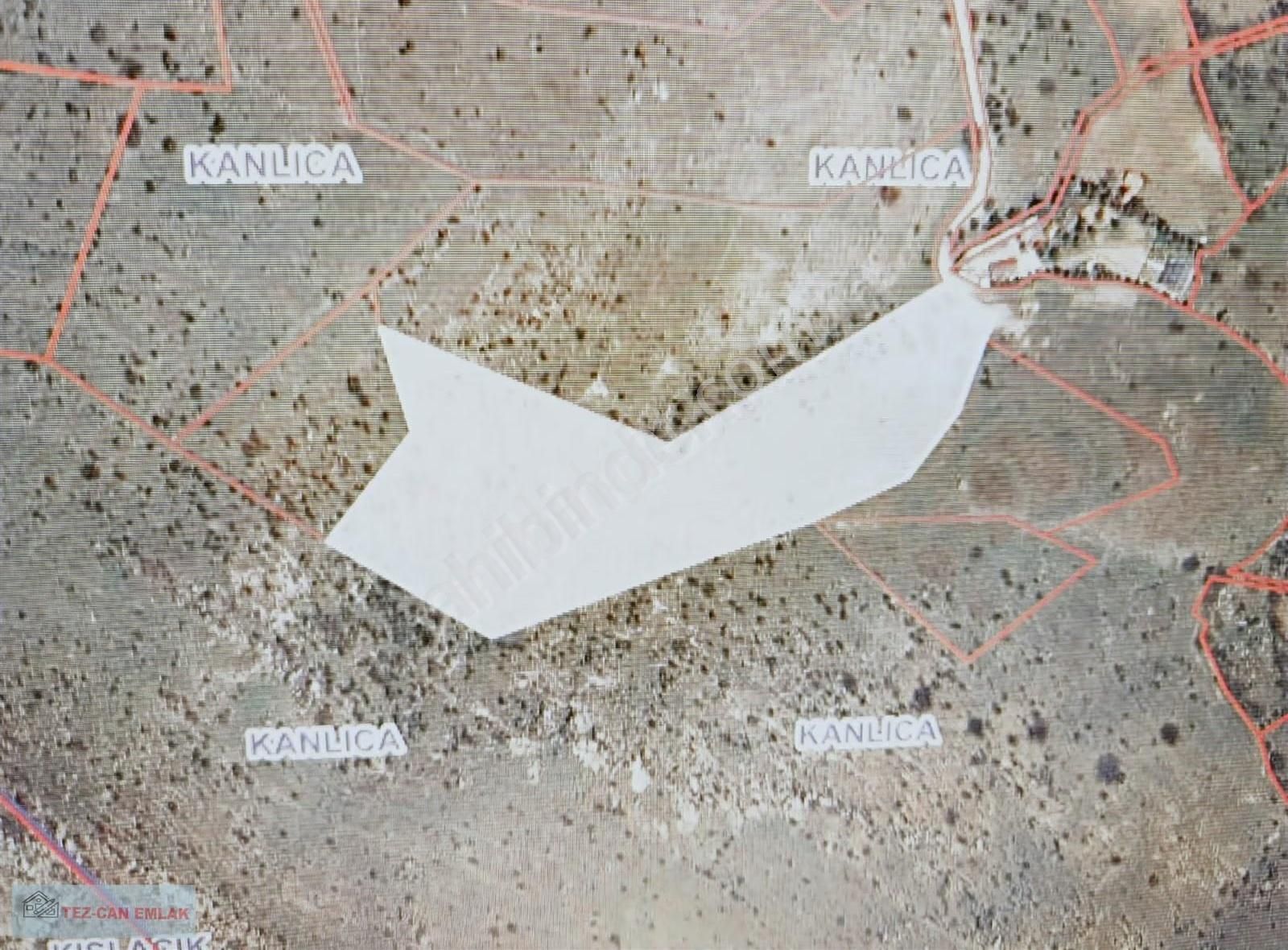 Afyon Tezcan Emlaktan Kanlıca Mahallesinde 3100 M2 Arsa - Görsel 4