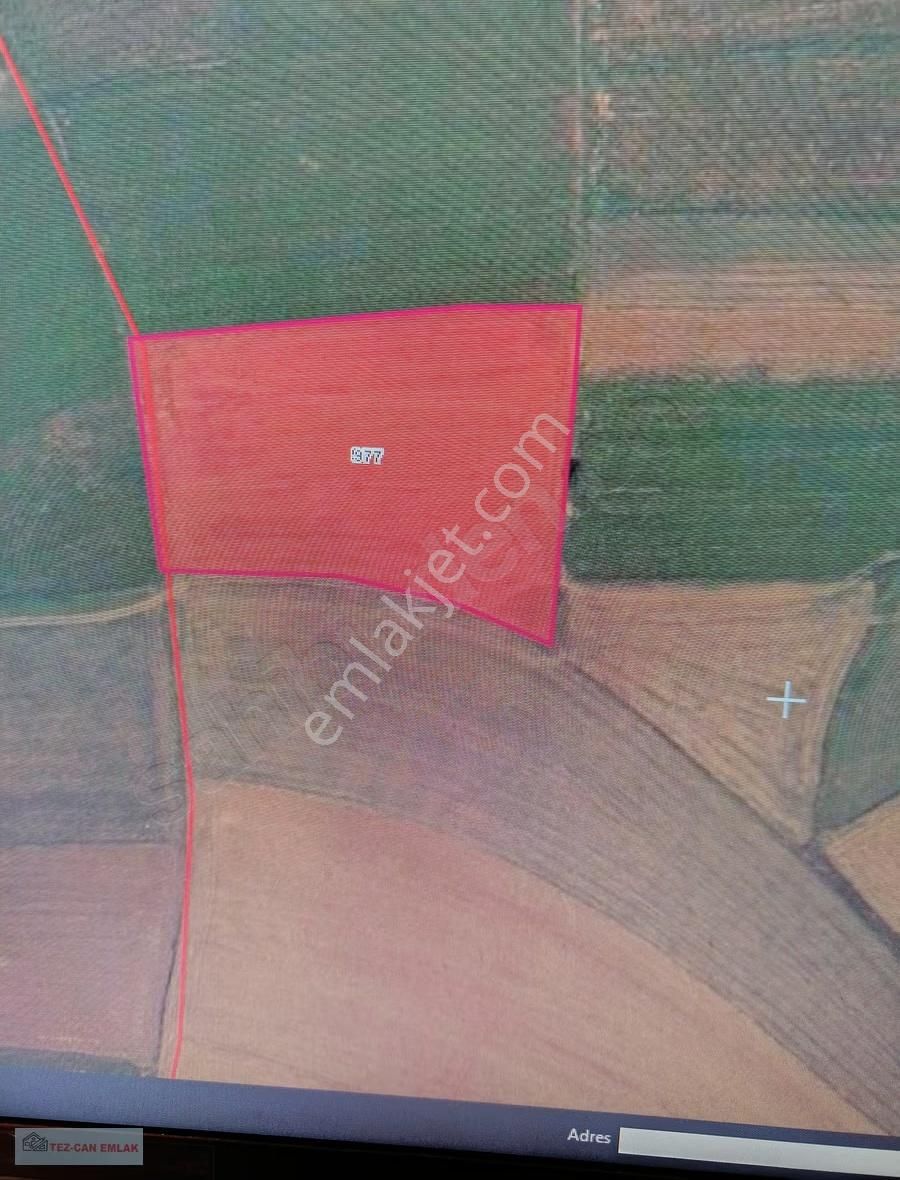 İhsaniye Karacahmet Köyü Verimli Tarla - Görsel 6