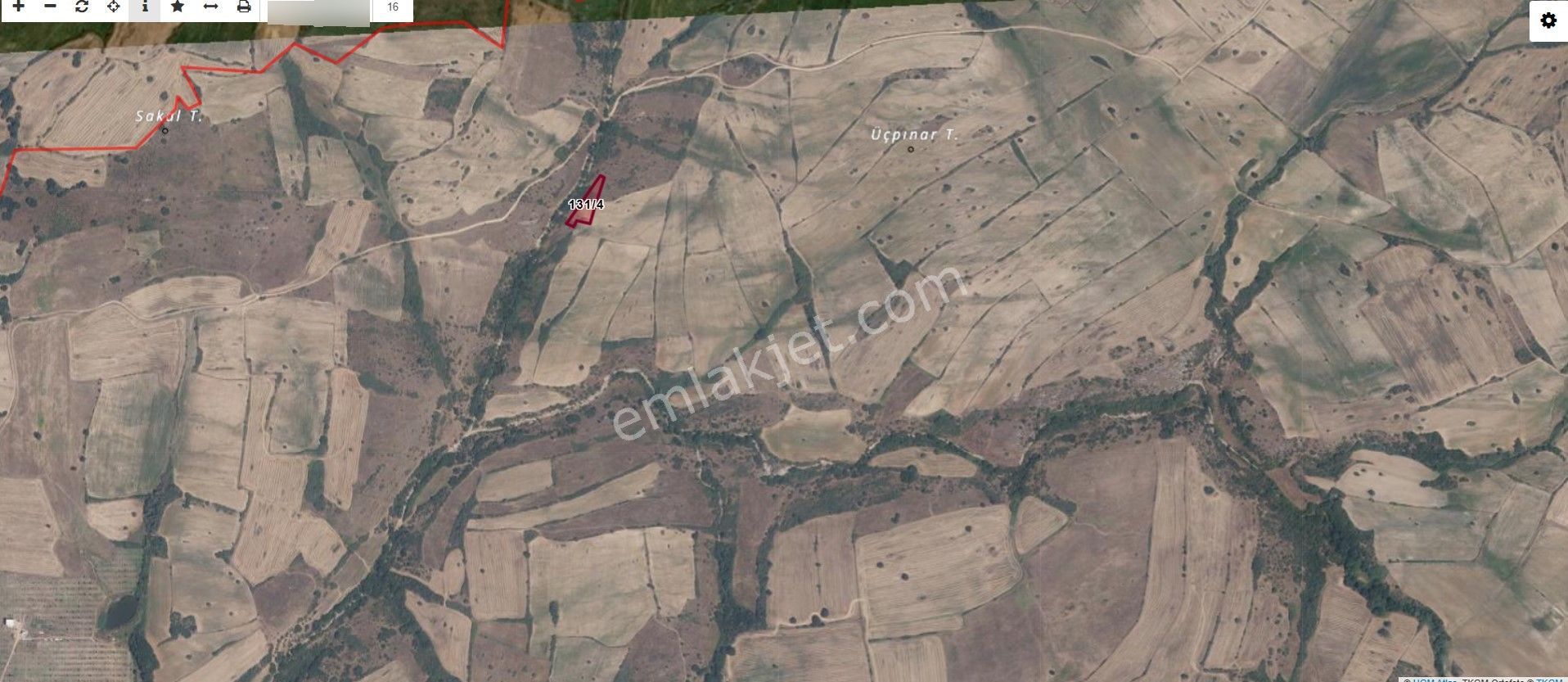 Kırklareli Merkez Yoğuntaş Köyü Yatırımlık 2 Dönüm Tarla - Görsel 5