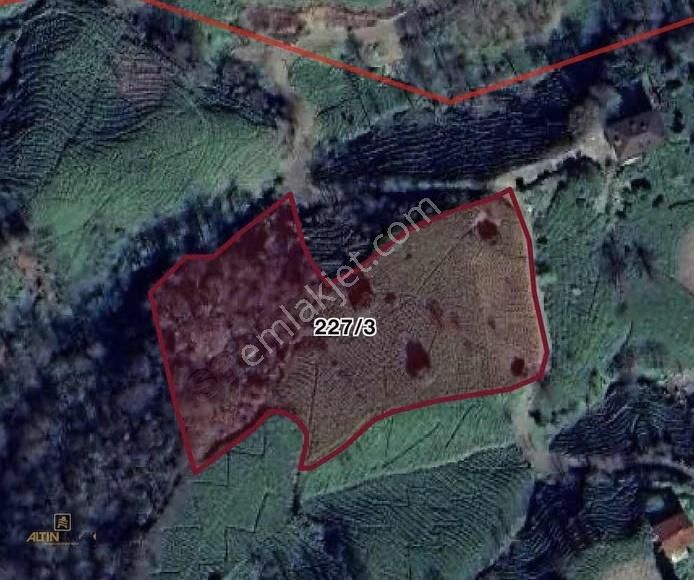 Rize Derepazarı Eğimsiz Satılık Arazi