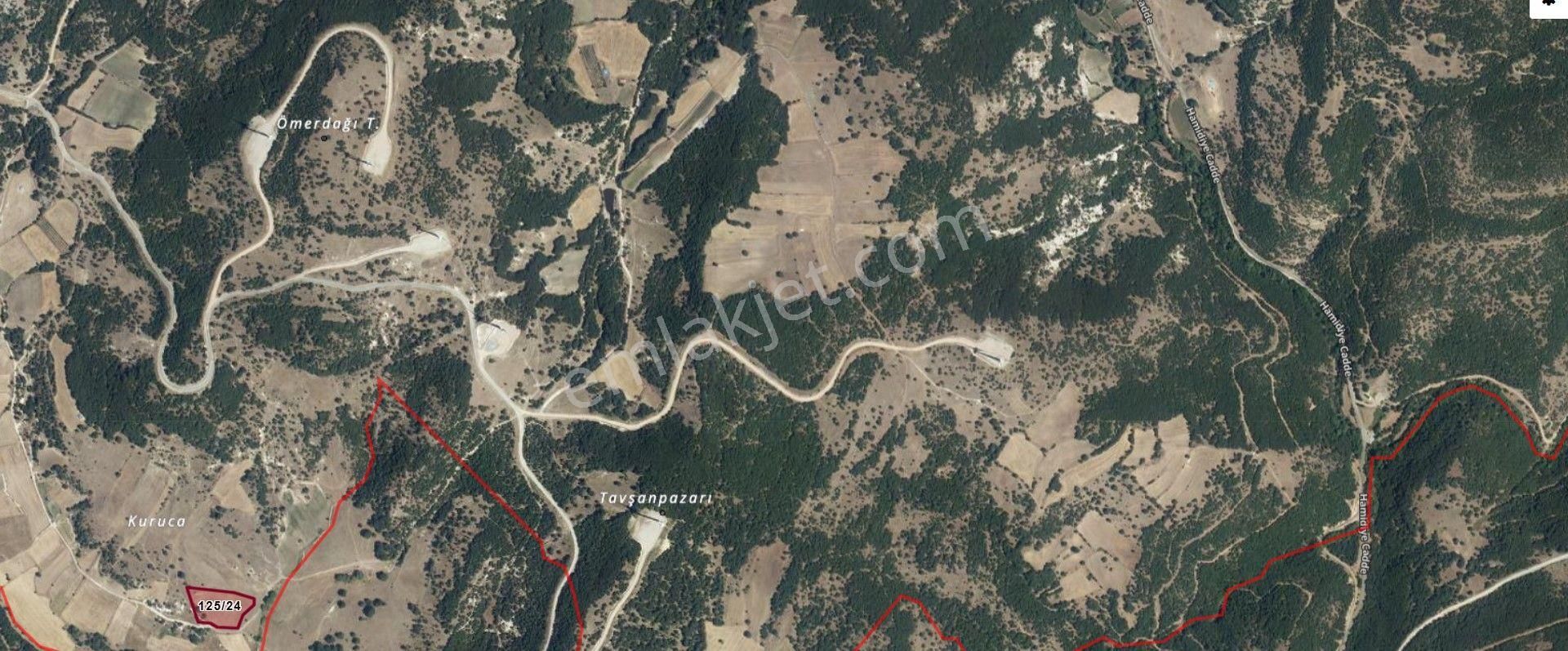 Manisa Kırkağaç Hamidiye Mahallesinde Yatırımlık 6 Dönüm Tarla - Görsel 6