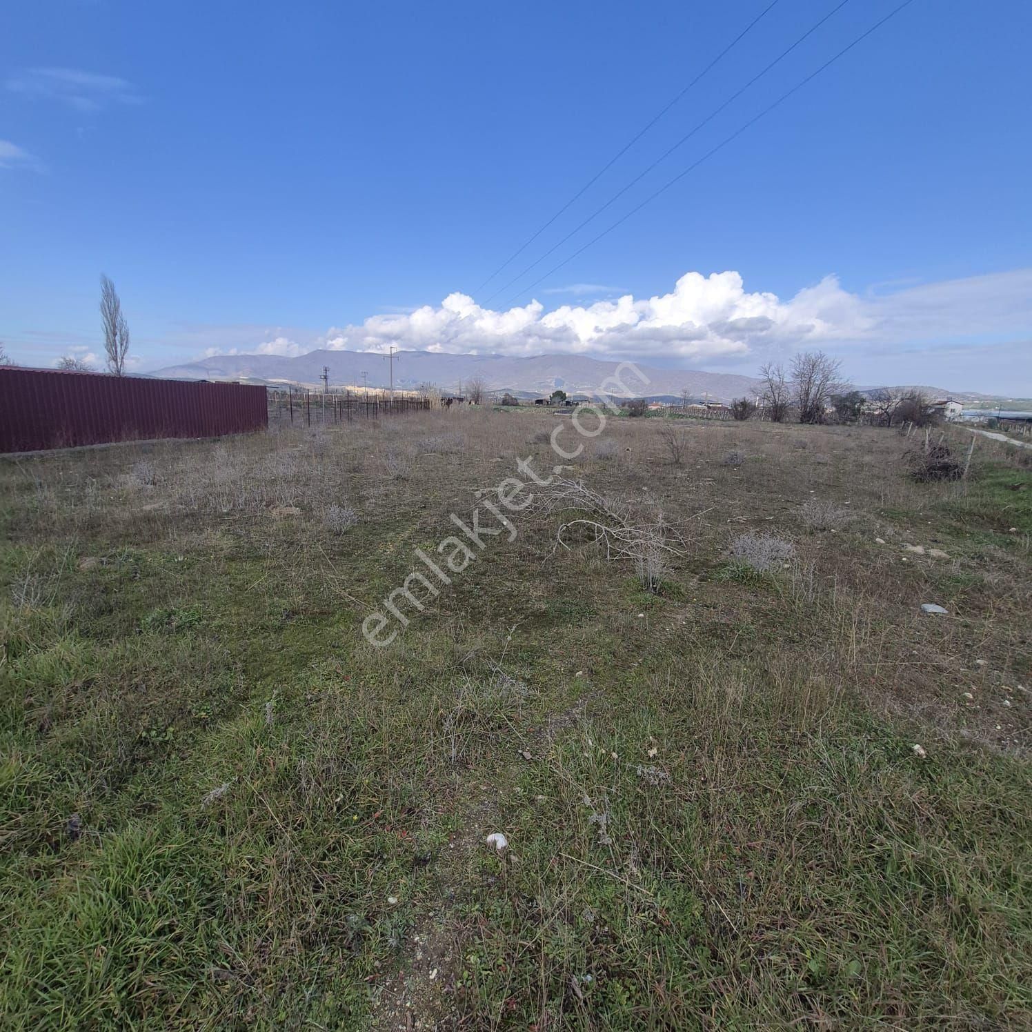 Adala Mevki Satilik Firsat Tarla - Görsel 2