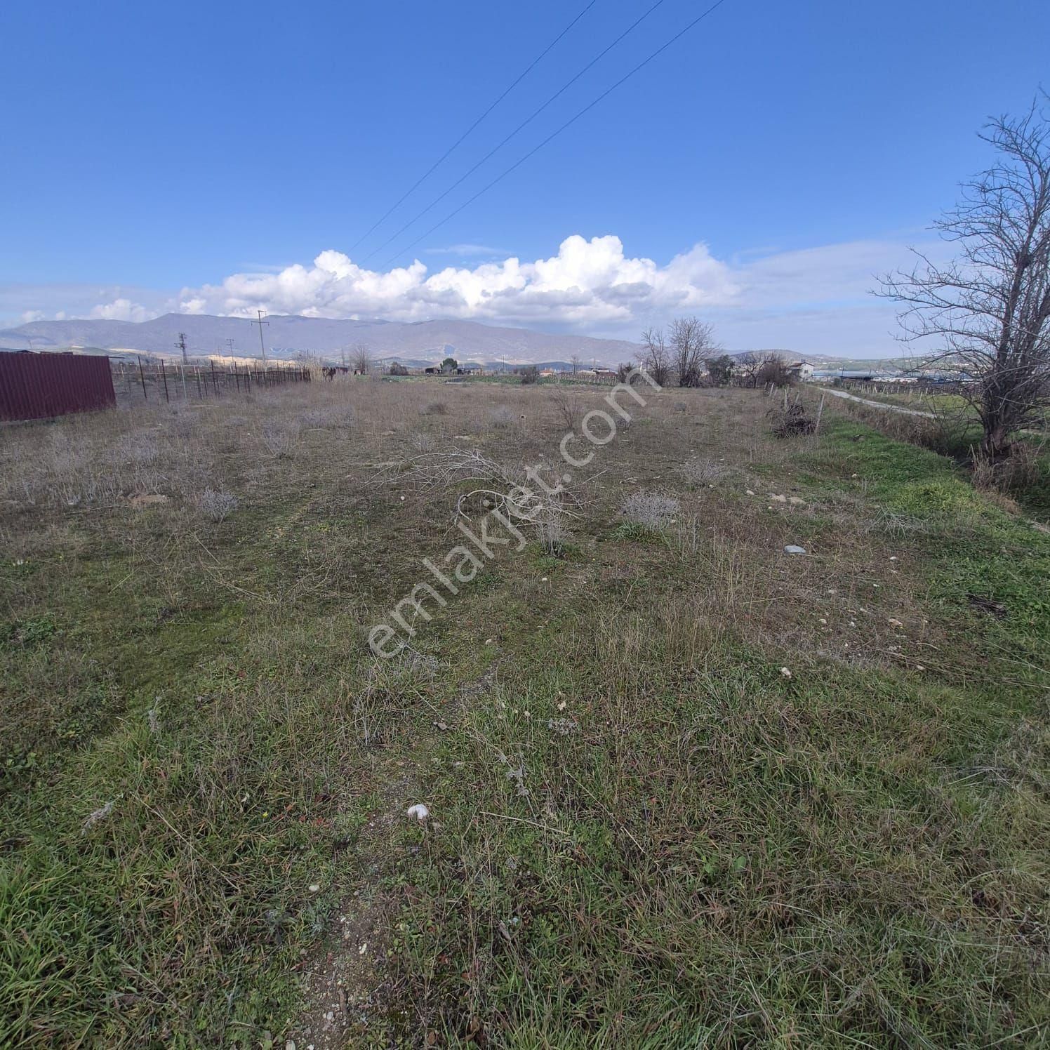 Adala Mevki Satilik Firsat Tarla - Görsel 6