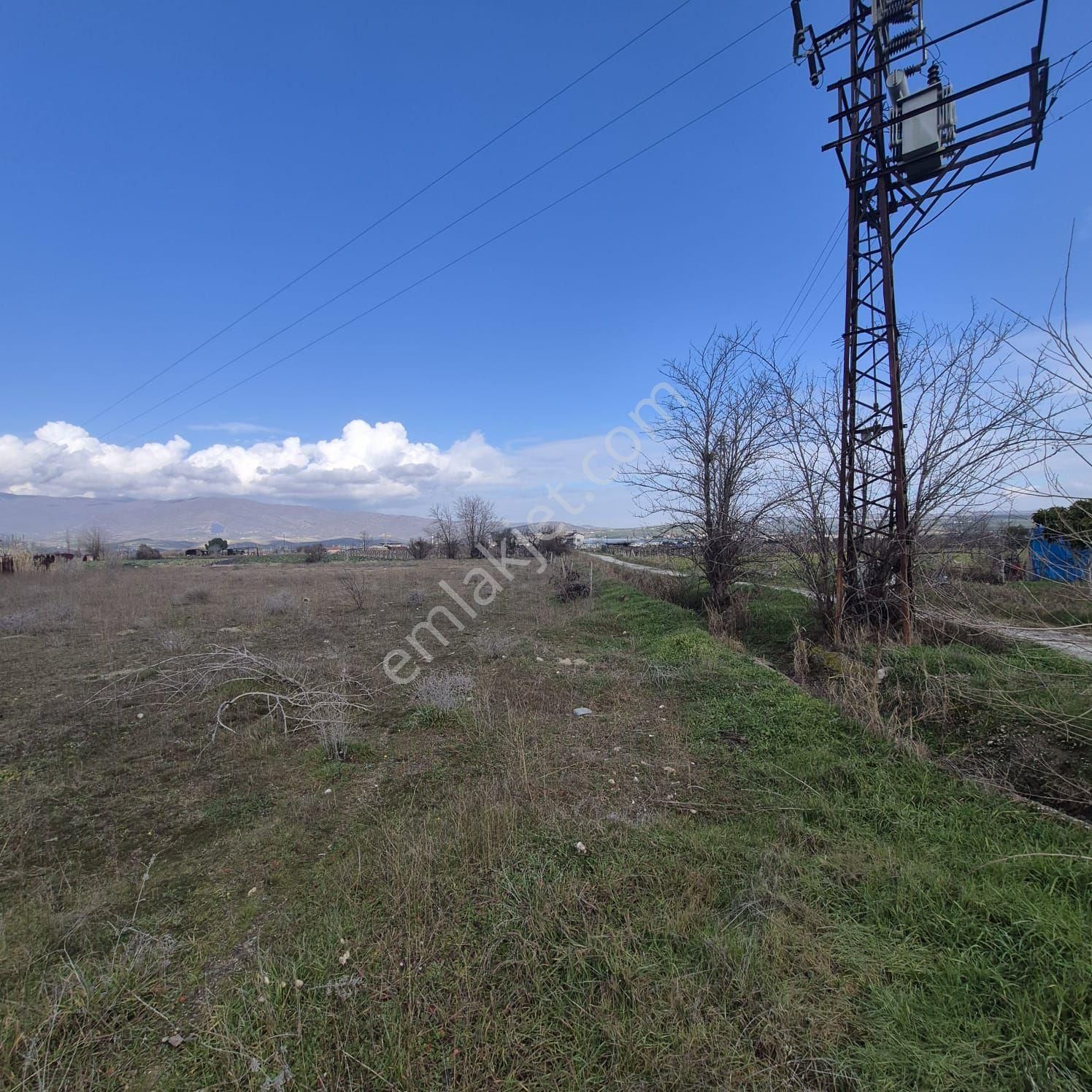 Adala Mevki Satilik Firsat Tarla - Görsel 8