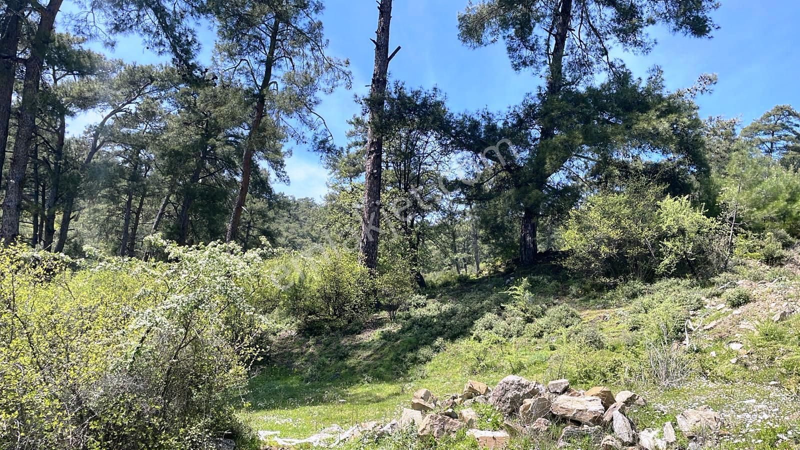 Menteşe Çatakbağyaka 761m2 Gelişime Açık Bölgede Satılık Arsa - Görsel 5