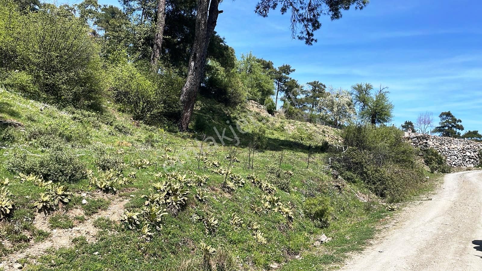 Menteşe Çatakbağyaka 761m2 Gelişime Açık Bölgede Satılık Arsa - Görsel 3