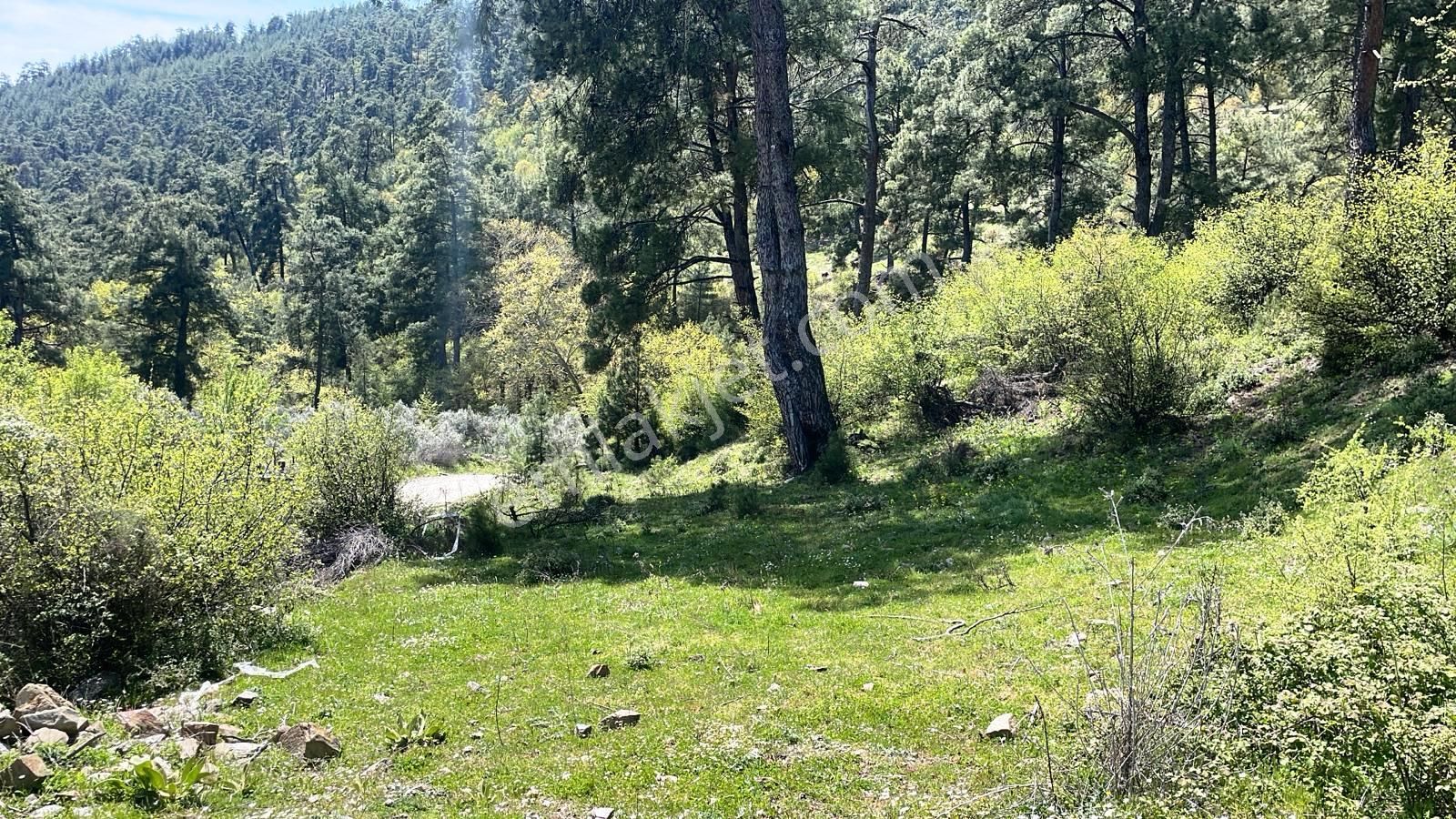 Menteşe Çatakbağyaka 761m2 Gelişime Açık Bölgede Satılık Arsa - Görsel 35
