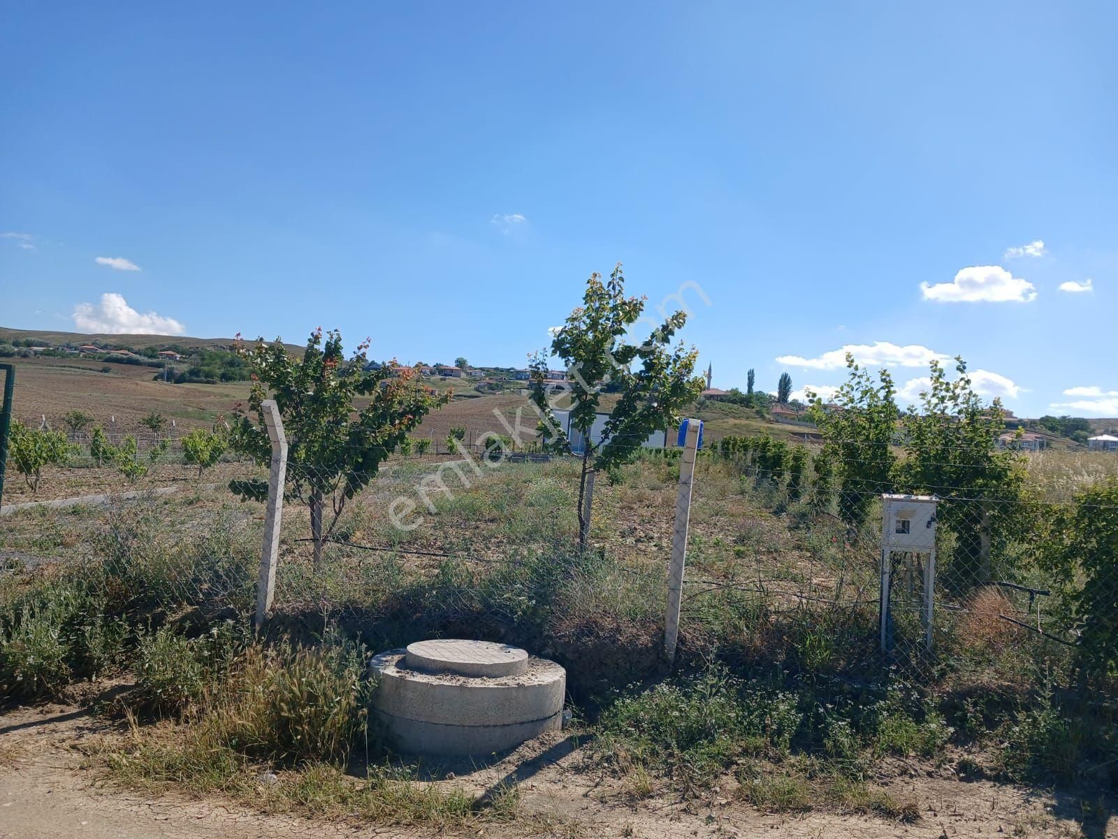 Ankara Gölbaşı Bağiçinde Hazır Bahçe 1633 Metre Arsasıyla Berar - Görsel 5