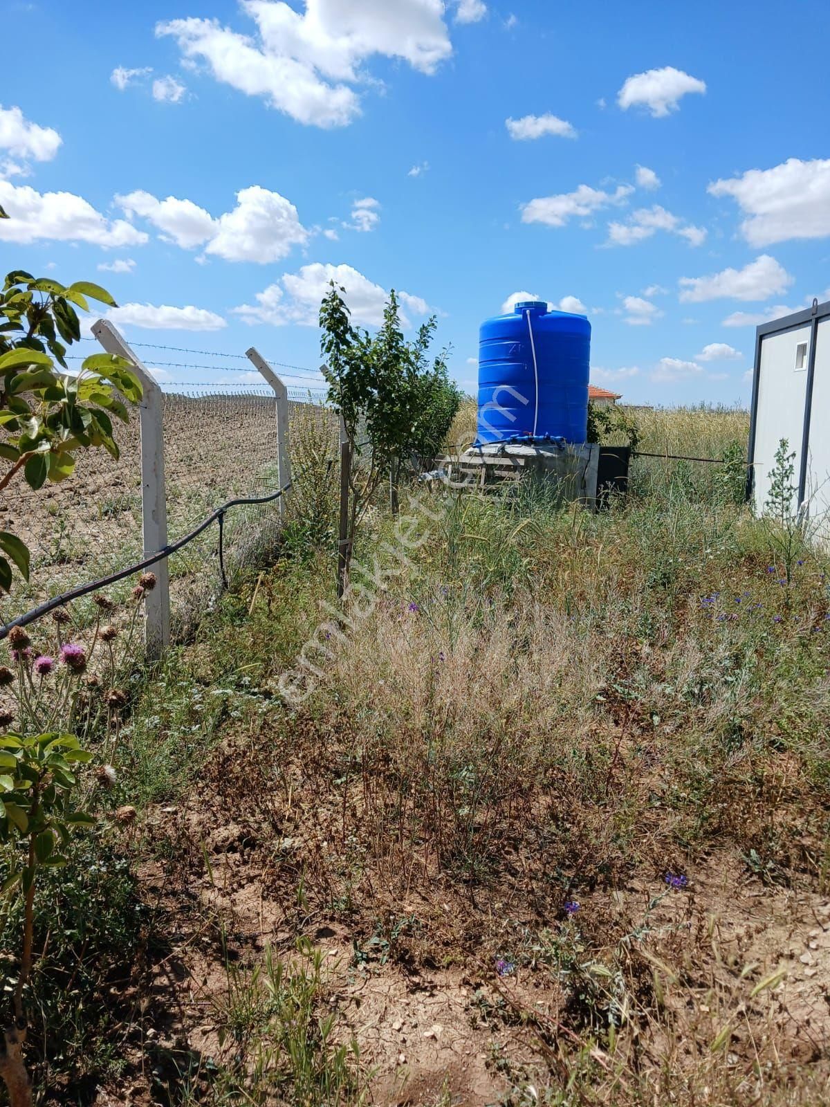Ankara Gölbaşı Bağiçinde Hazır Bahçe 1633 Metre Arsasıyla Berar - Görsel 9