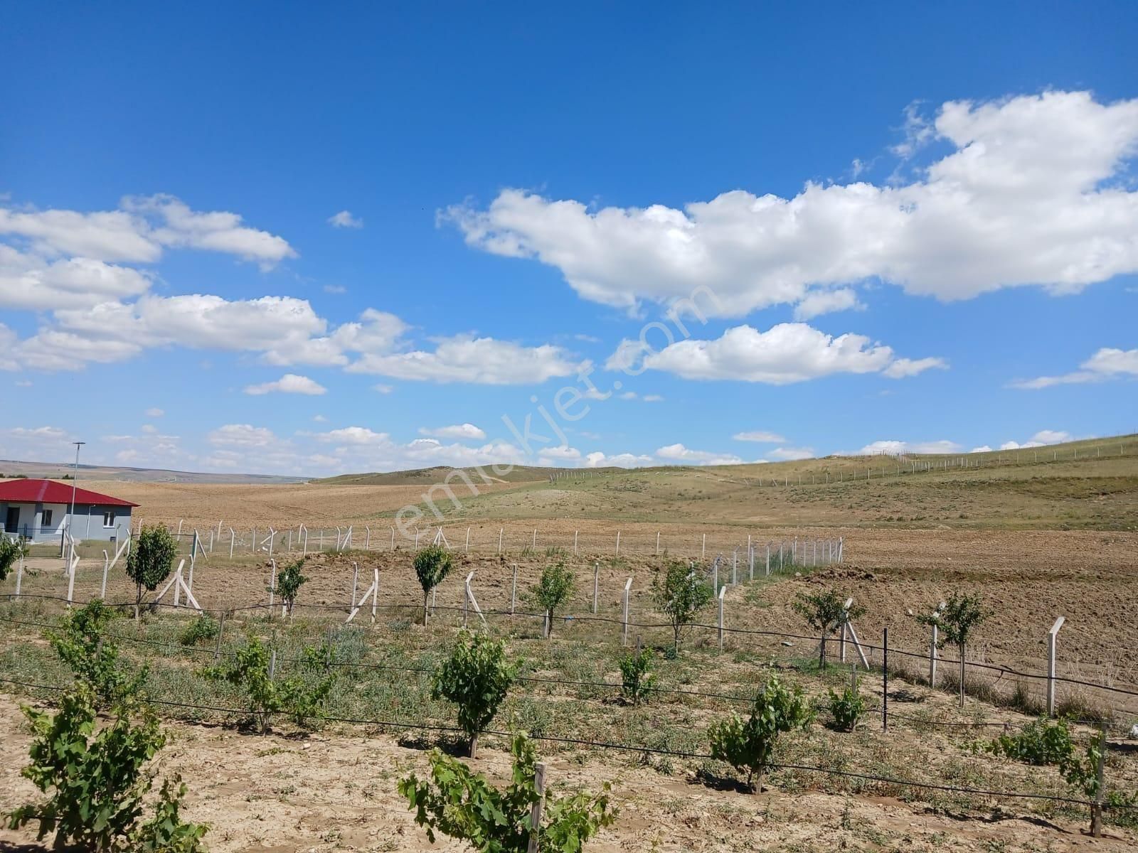 Ankara Gölbaşı Bağiçinde Hazır Bahçe 1633 Metre Arsasıyla Berar - Görsel 11