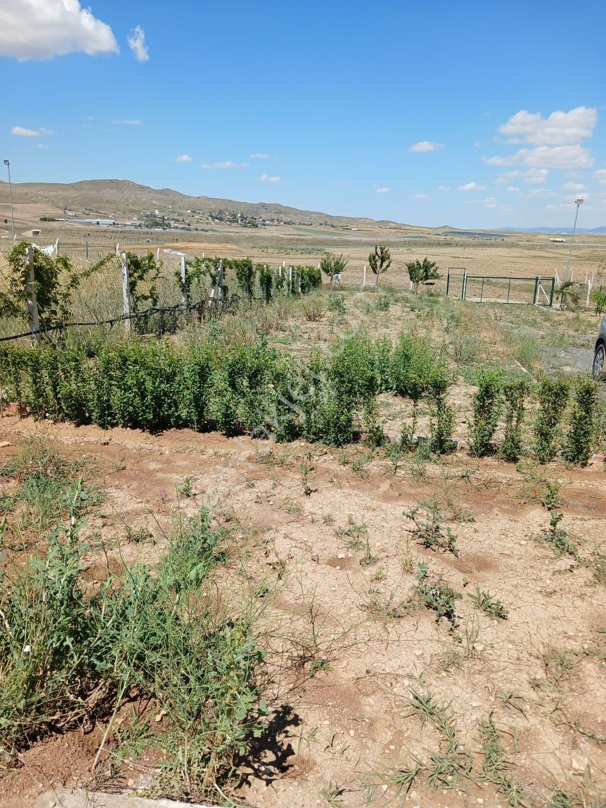 Ankara Gölbaşı Bağiçinde Hazır Bahçe 1633 Metre Arsasıyla Berar - Görsel 12