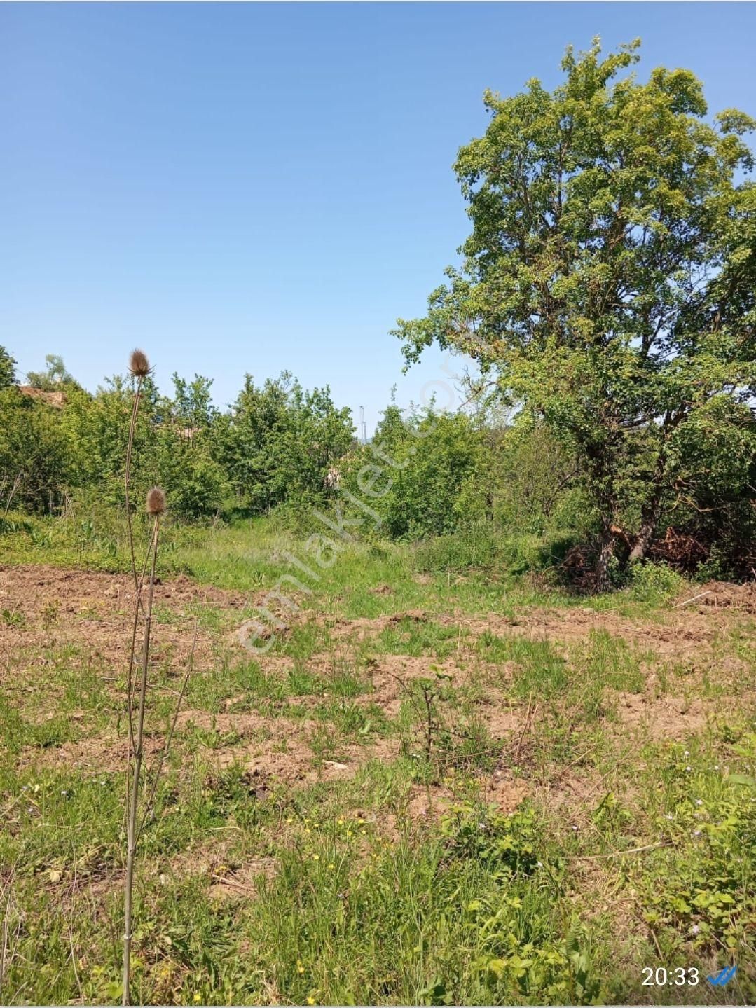 Kestel Orhaniye'de İmarlı Arsa - Görsel 5