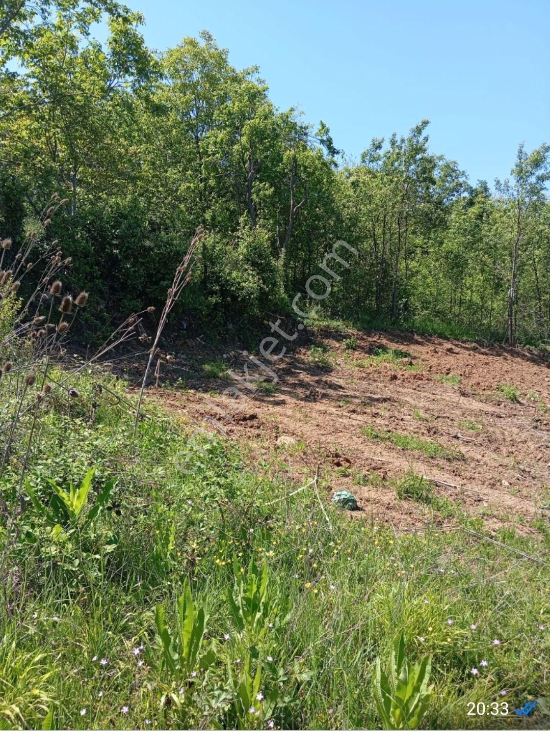 Kestel Orhaniye'de İmarlı Arsa - Görsel 2