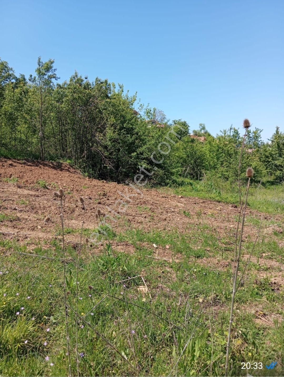 Kestel Orhaniye'de İmarlı Arsa - Görsel 7