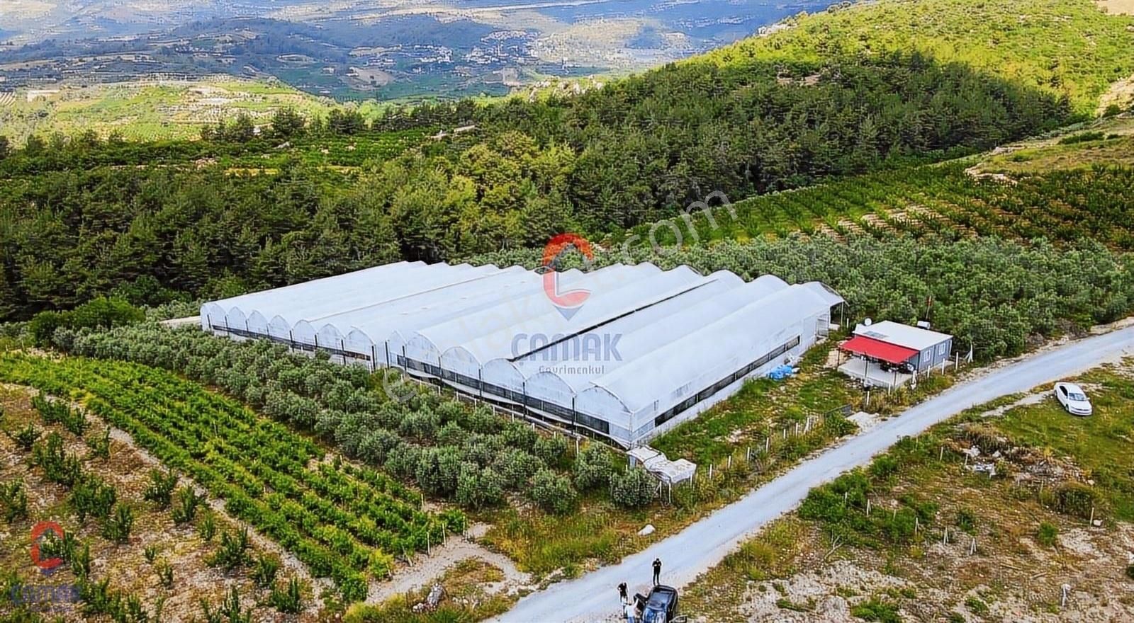 Muz Serası Olabilecek Satılık 4.240 M2 Kapalı Ejder Meyvesi Sera - Görsel 20