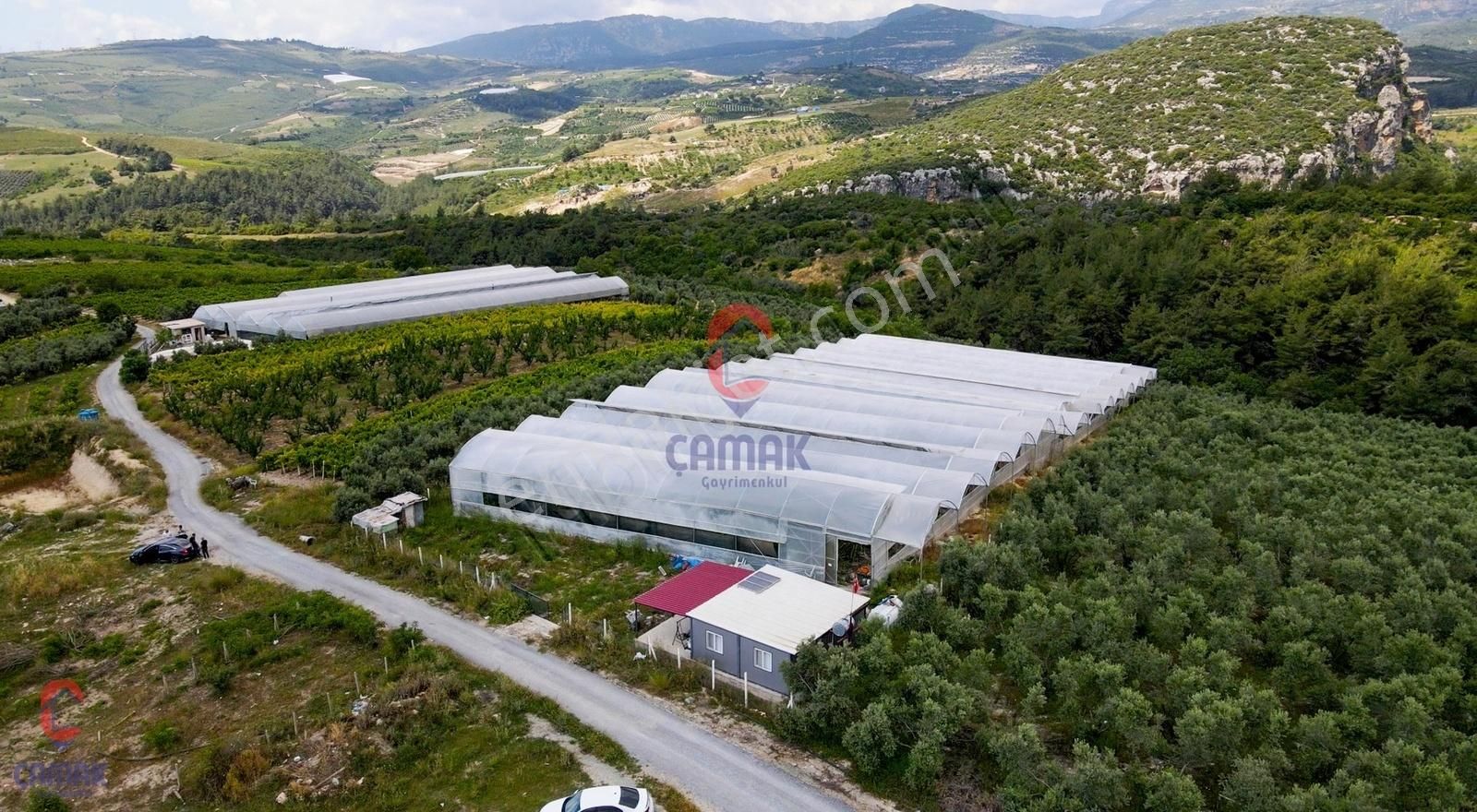 Muz Serası Olabilecek Satılık 4.240 M2 Kapalı Ejder Meyvesi Sera - Görsel 7