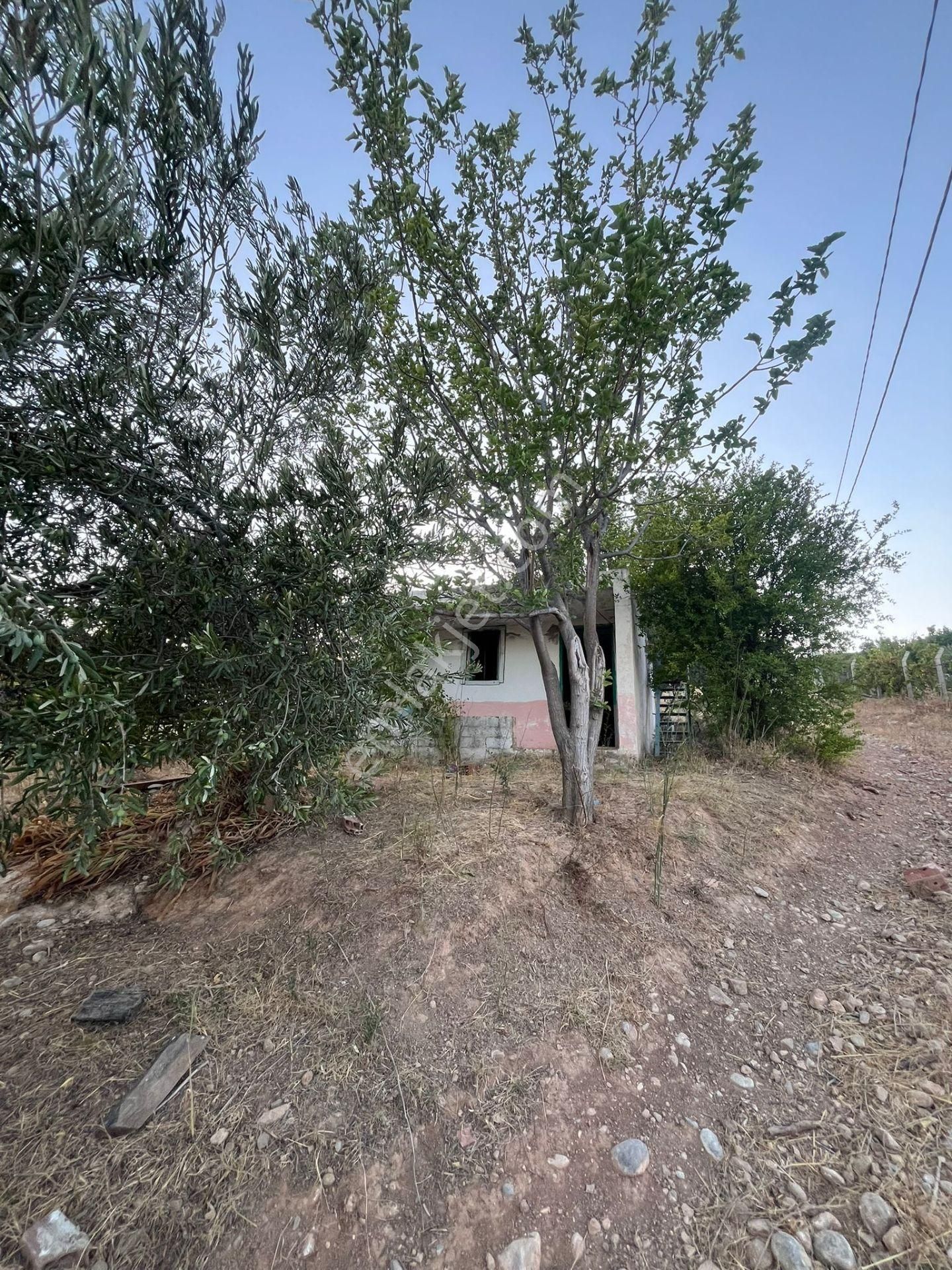 İzmir Torbalı Gold Emlaktan Kemalpaşada Satılık Bahçe - Görsel 2